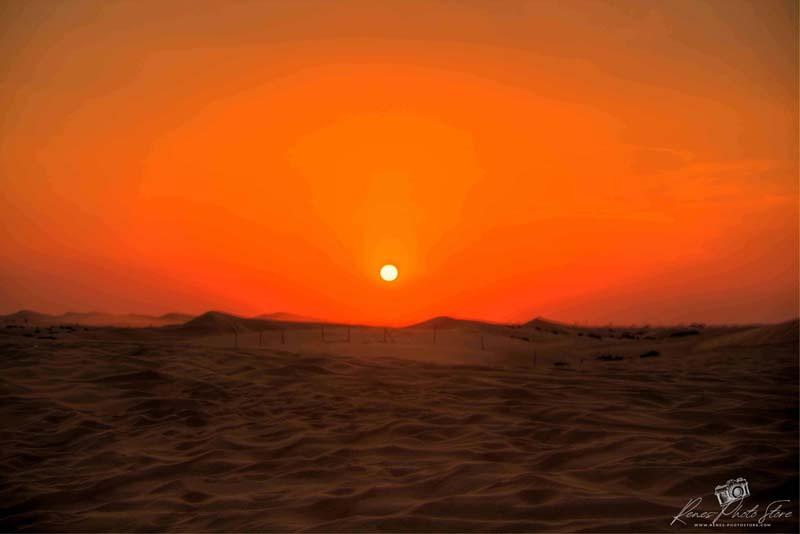 Abu Dhabi Dunes Sunset | Golden Desert Landscape Photo Download