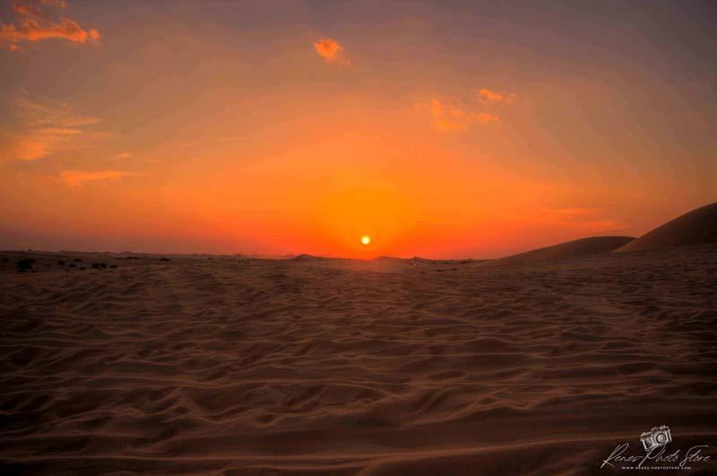 Sunset in Abu Dhabi Dunes | Desert Landscape Photo Download