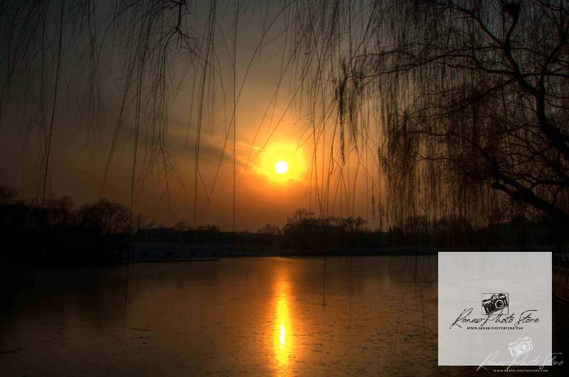 Beihai Park Sunset Through Willows | Beijing Lake Reflection Photo Download