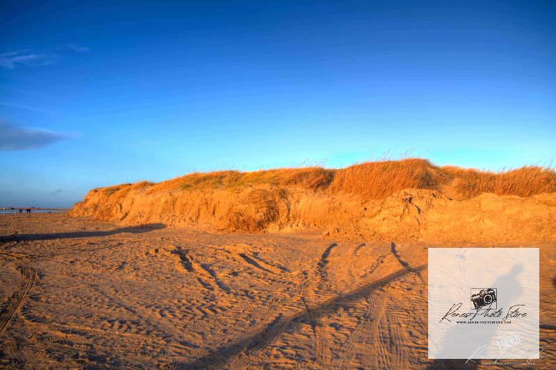 Golden Dunes at Lakolk Beach, Rømø | North Sea Sandscape Photo Download