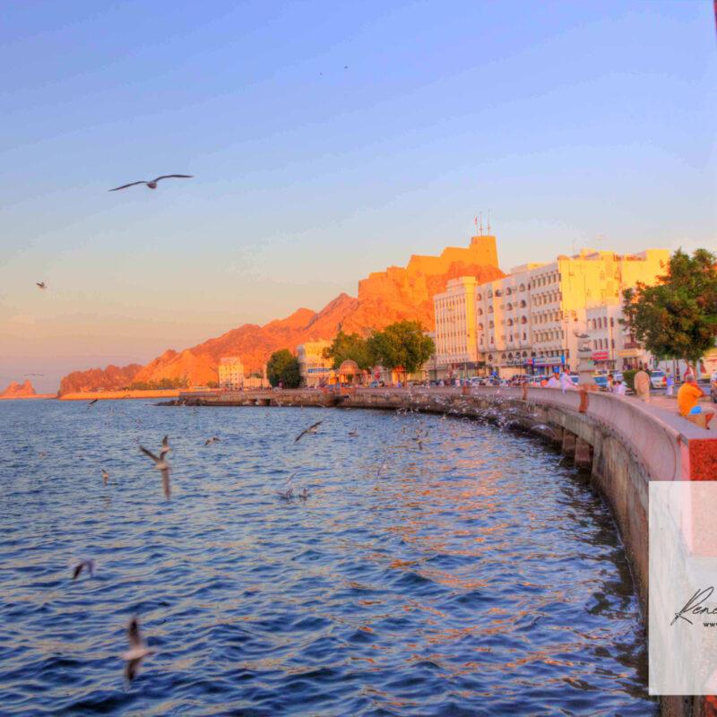 Muttrah Corniche and Fort in Muscat, Oman | Sunset Waterfront Photo Download