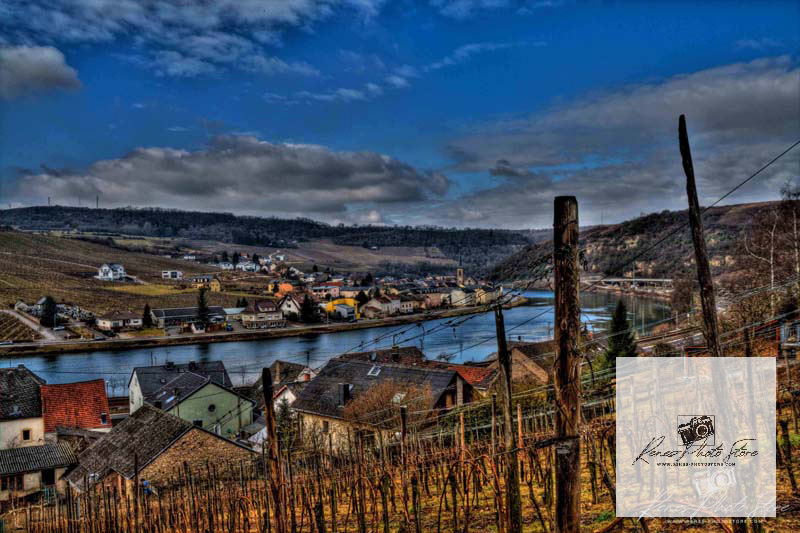 Vineyards above Nittel in the Moselle Valley | River and Wine Country Photo Download
