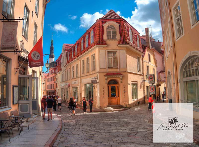 Tallinn Old Town Corner Street | UNESCO Medieval City Photo Download