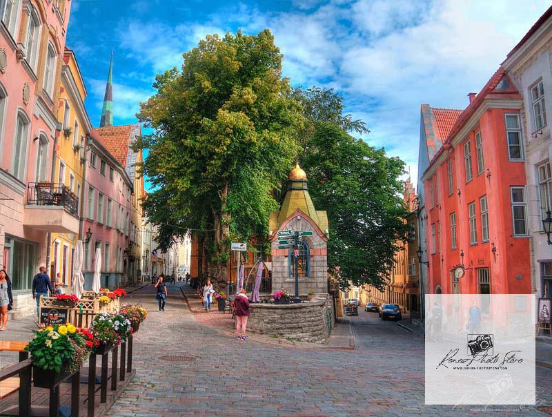 Colorful Street Scene in Tallinn Old Town, Estonia | Medieval Cityscape Photo Download