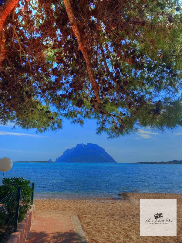 Porto Taverna Beach with Tavolara View | Sardinia Framed by Pines – Photo Download