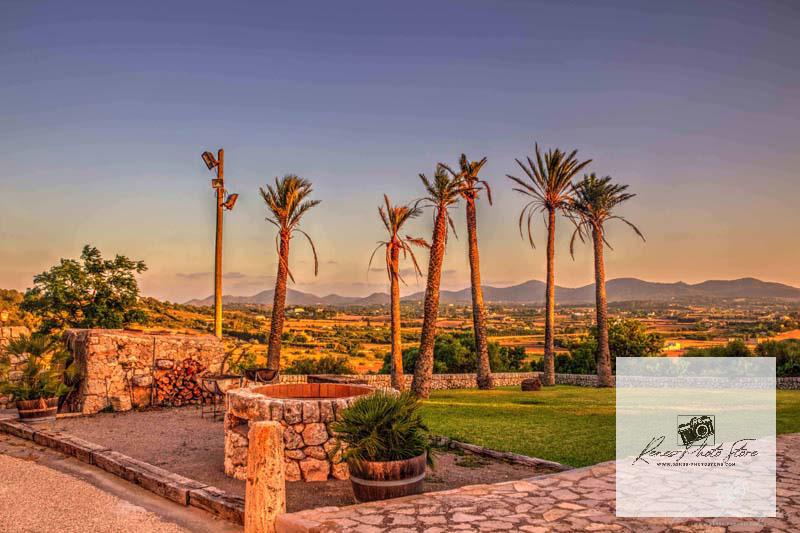 Palm Grove Over Manacor in Mallorca | Countryside Sunset Photo Download