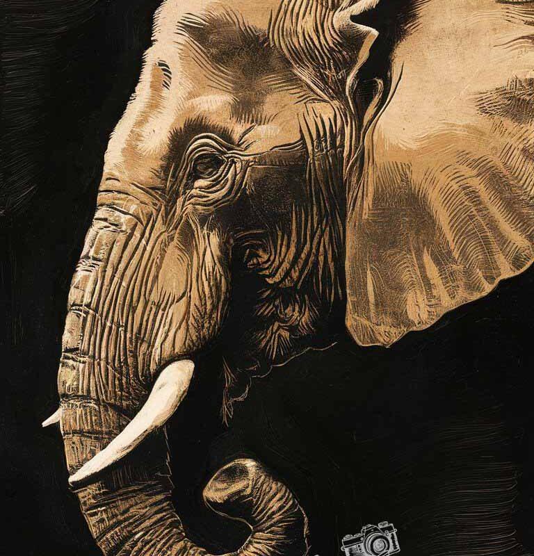 Elephant Profile in Savanna | Animal Linocut Art Photo Download