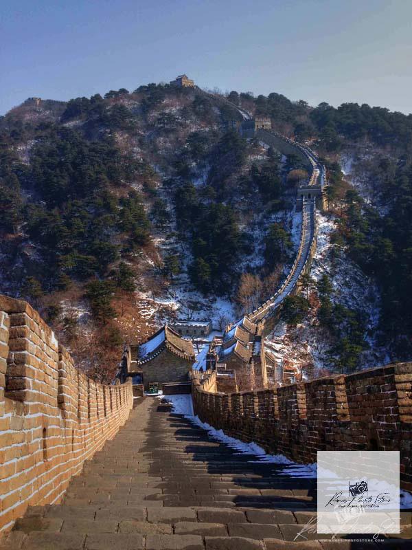 Winter Pines on Mutianyu Great Wall in Beijing | Landscape Photo Download