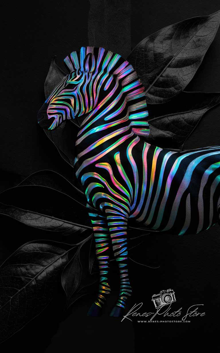 Iridescent Zebra on Black | Surreal Animal Photo Download