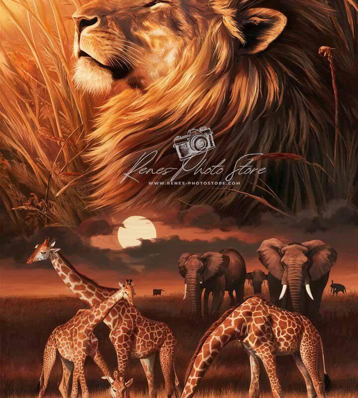 Lion and Giraffes in Savannah | African Wildlife Photo Download